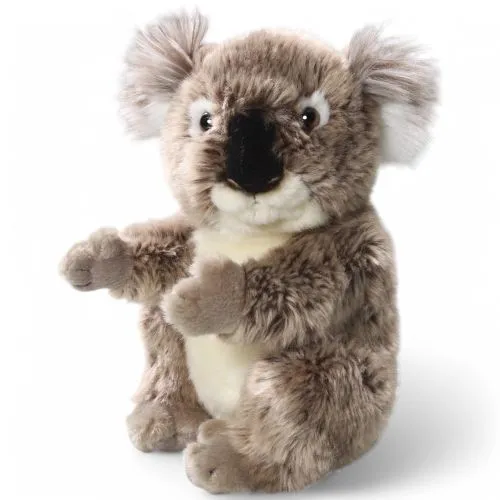 Stuffed Animal Koala Bear