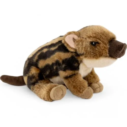 Stuffed Animal Wild Boar Baby sitting