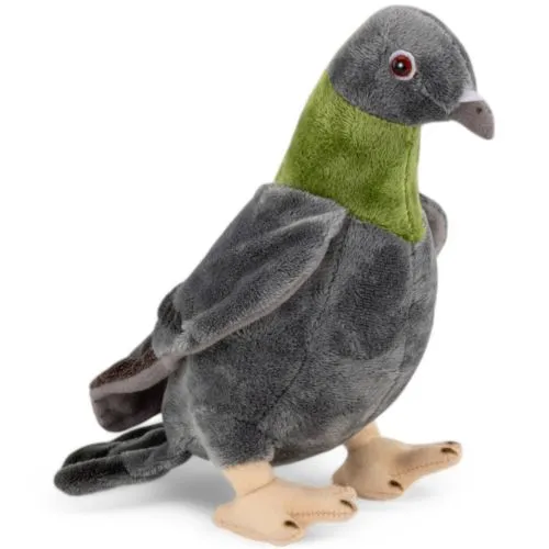 Stuffed Aanimal Dove, City Pigeon