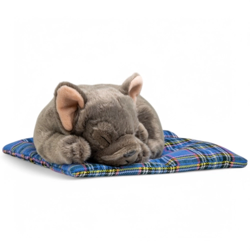 Stuffed Animal French Bulldog on pillow