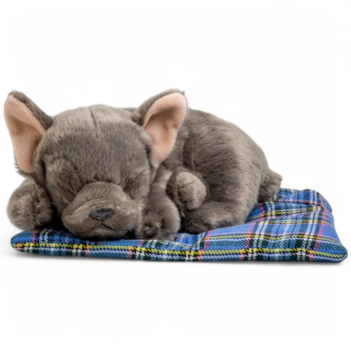 Stuffed Animal French Bulldog on pillow