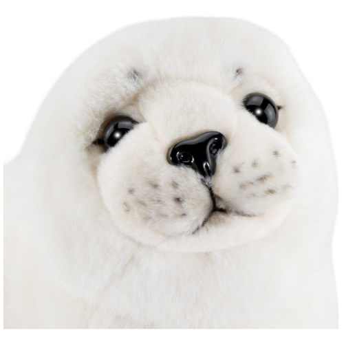 Preview: Seehund, Robbe weiß Preview: Seehund, Robbe weiß