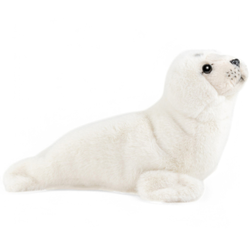 Preview: Seehund, Robbe weiß Preview: Seehund, Robbe weiß