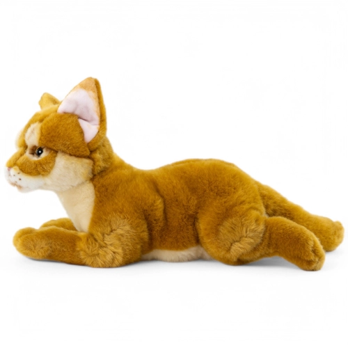 Stuffed Animal Abyssinian Cat
