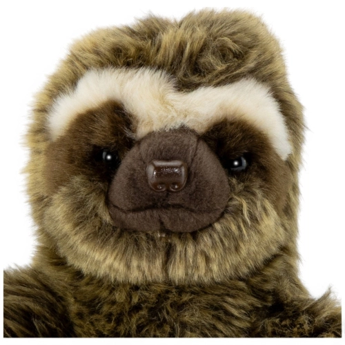 Stuffed Animal Sloth