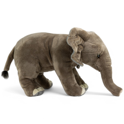 Preview: Elephant, African Elephant