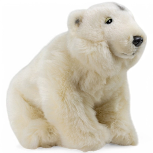 Stuffed Animal Polar Bear