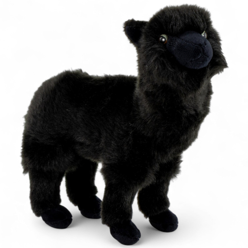 Alpaca standing black
