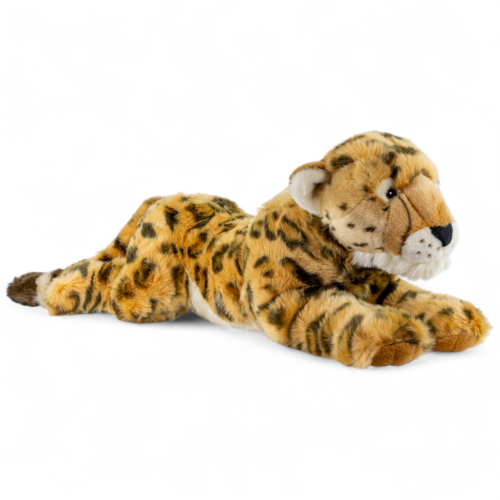 Gepard liegend