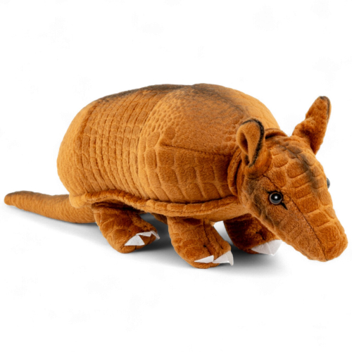 Preview: Armadillo