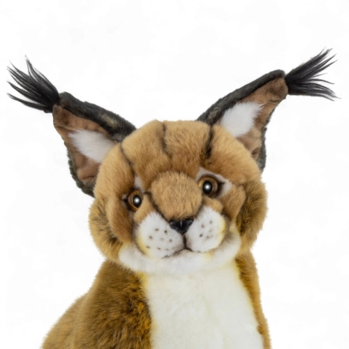 Stuffed Animal Caracal