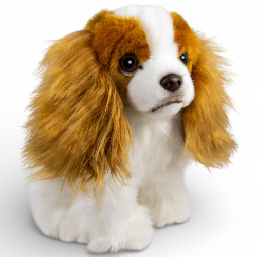 Preview: King Charles Spaniel brown-white