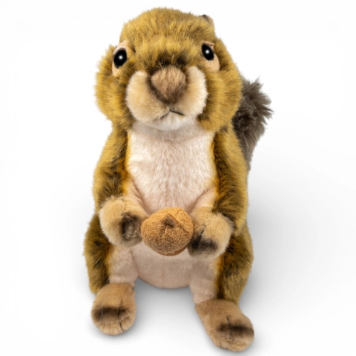 Kuscheltier Eichhörnchen