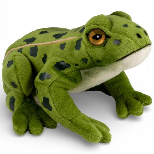 Stuffed Animal Frog