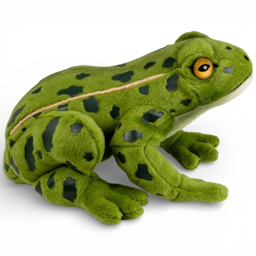 Stuffed Animal Frog