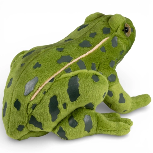 Stuffed Animal Frog