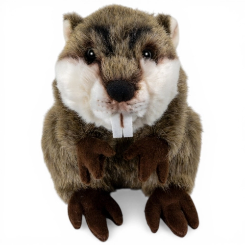 Kuscheltier Biber