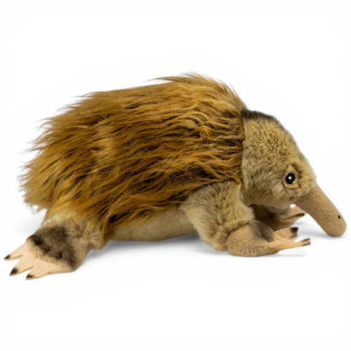Stuffed Animal Echidna