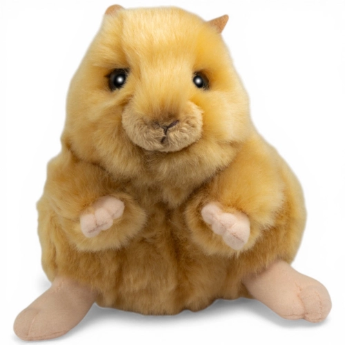 Kuscheltier Goldhamster