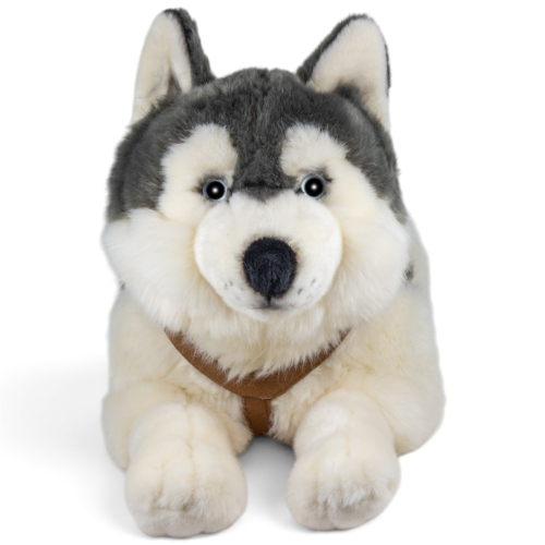 Preview: Stuffed Animal Husky with harness