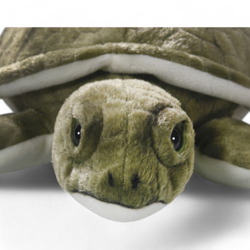 Baby turtle stuffed animal on sale