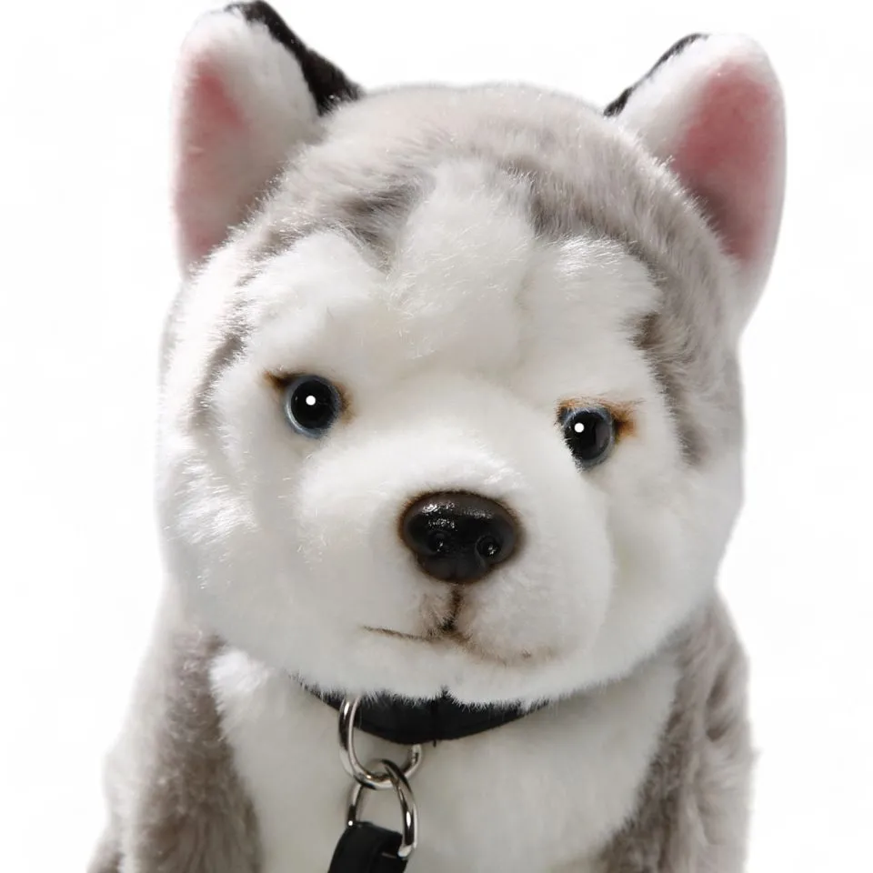 Stuffed Animal Husky sitting with lead