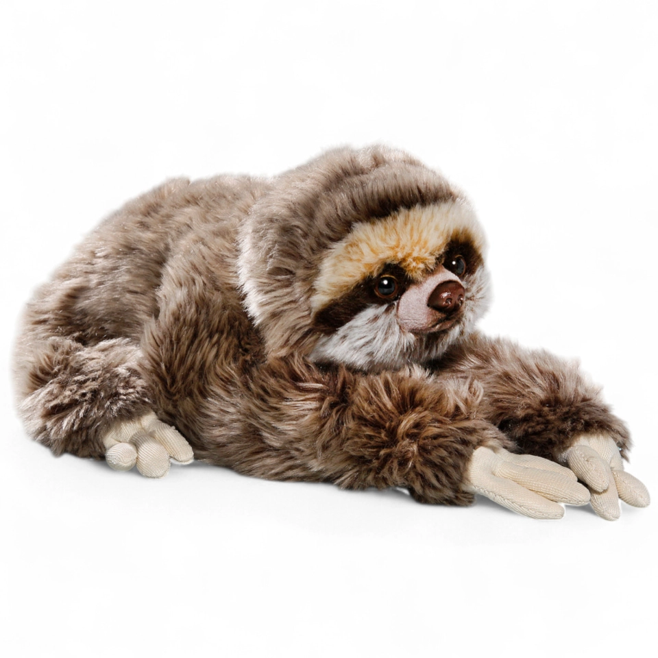 Sloth lying Sloth lying