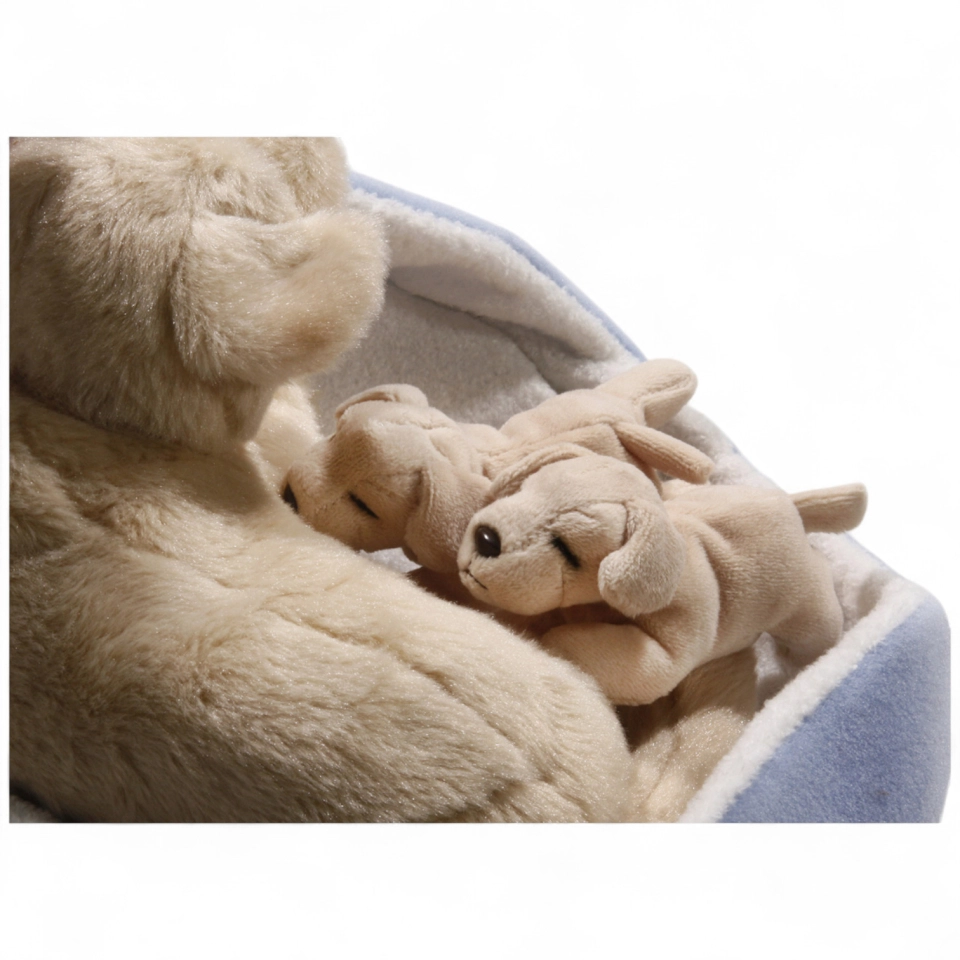 Golden Retriever mit Babys im Körbchen