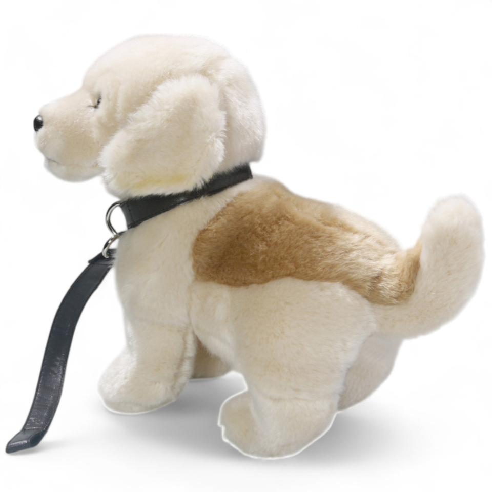 Golden Retriever Dog with Lead