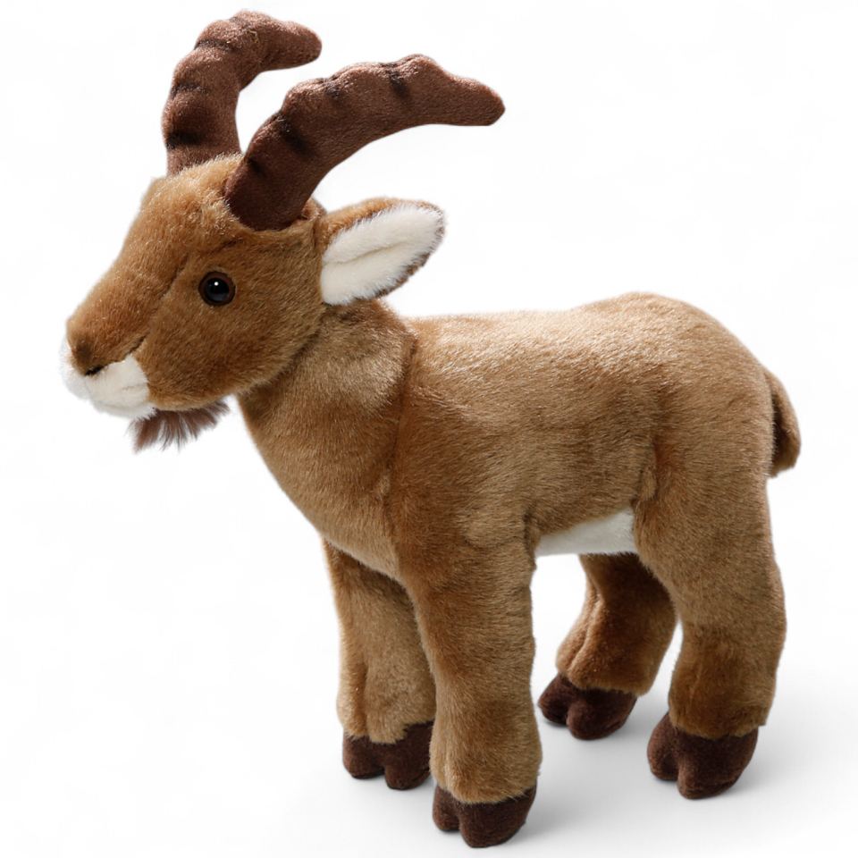 Steinbock, Ibex