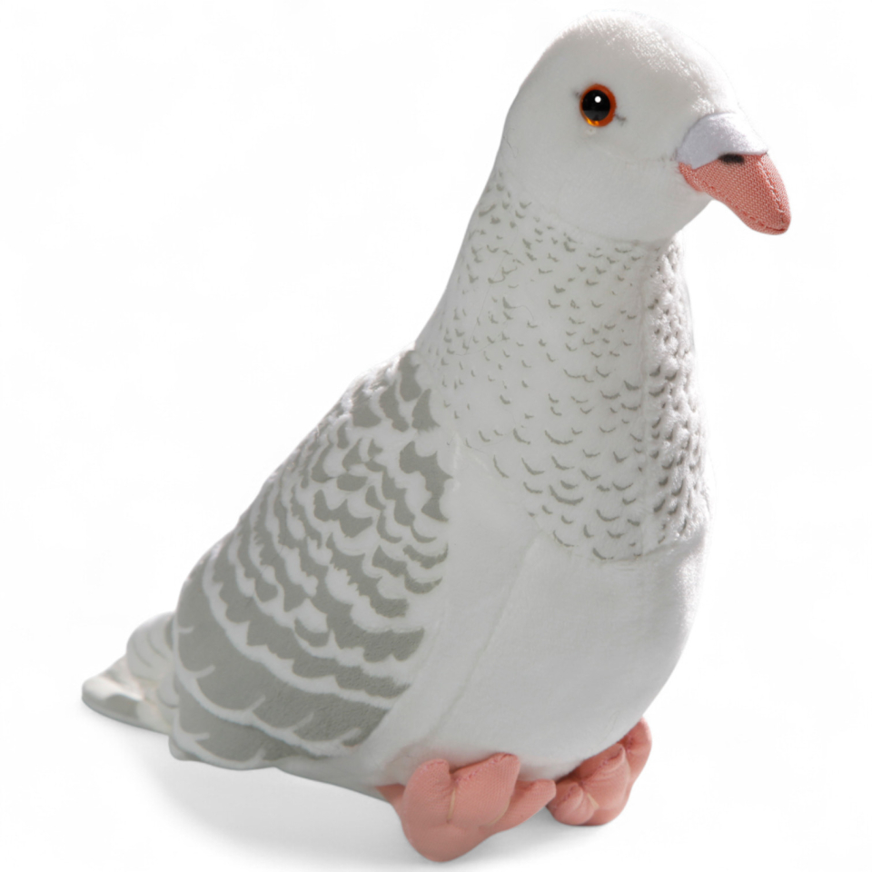 Dove, City Dove white