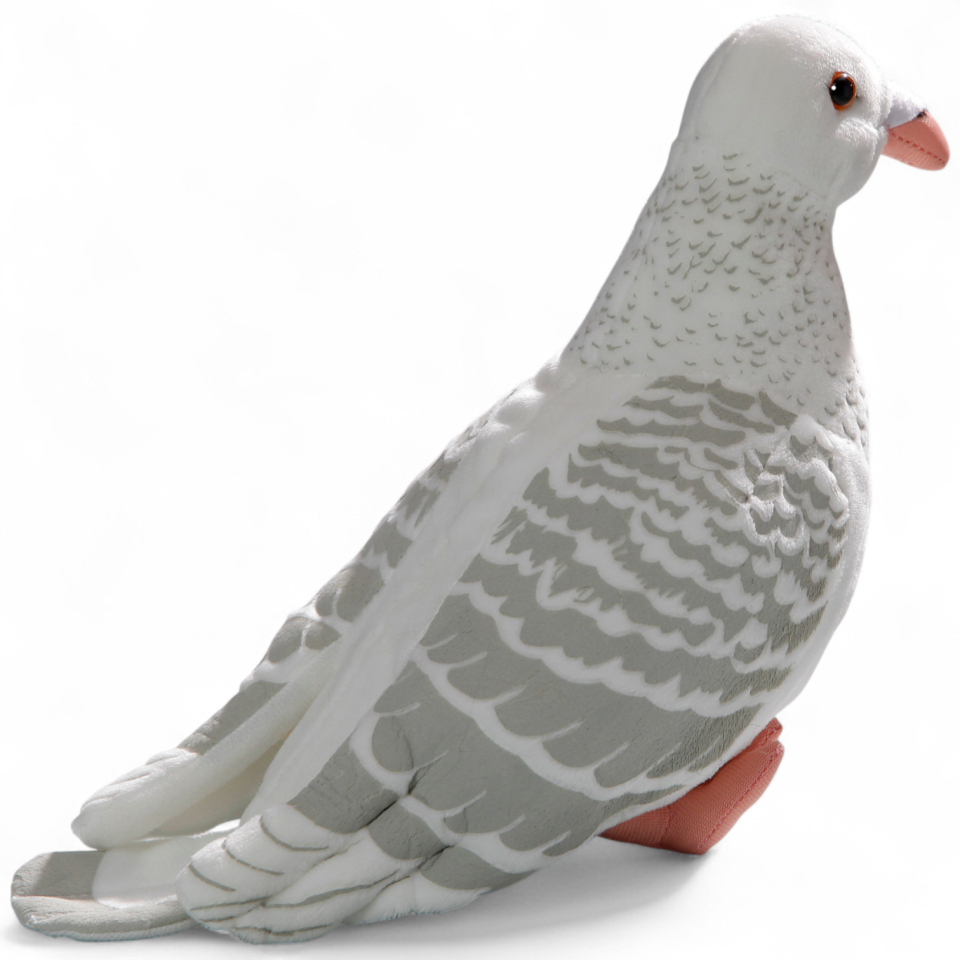 Dove, City Dove white