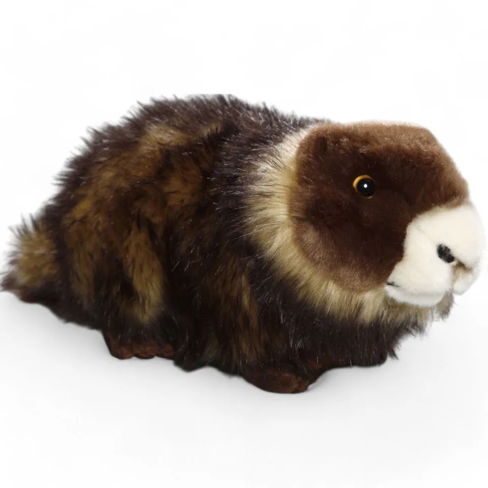 Stuffed Animal Marmot