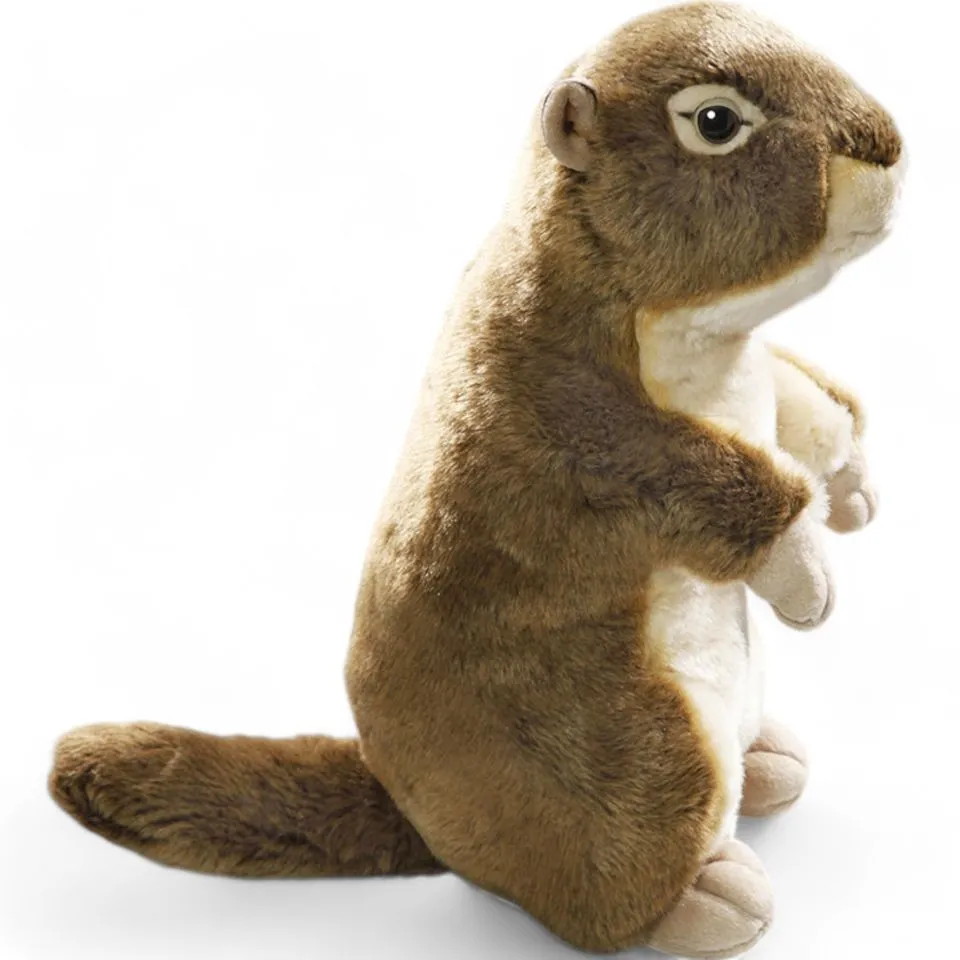 Stuffed Animal Ground Squirrel