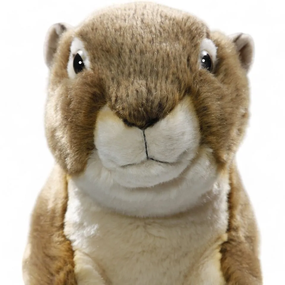 Stuffed Animal Ground Squirrel