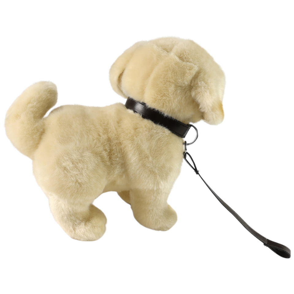 Golden Retriever mit Leine