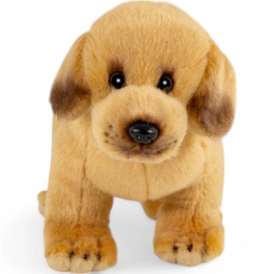 Stuffed Animal Labrador standing