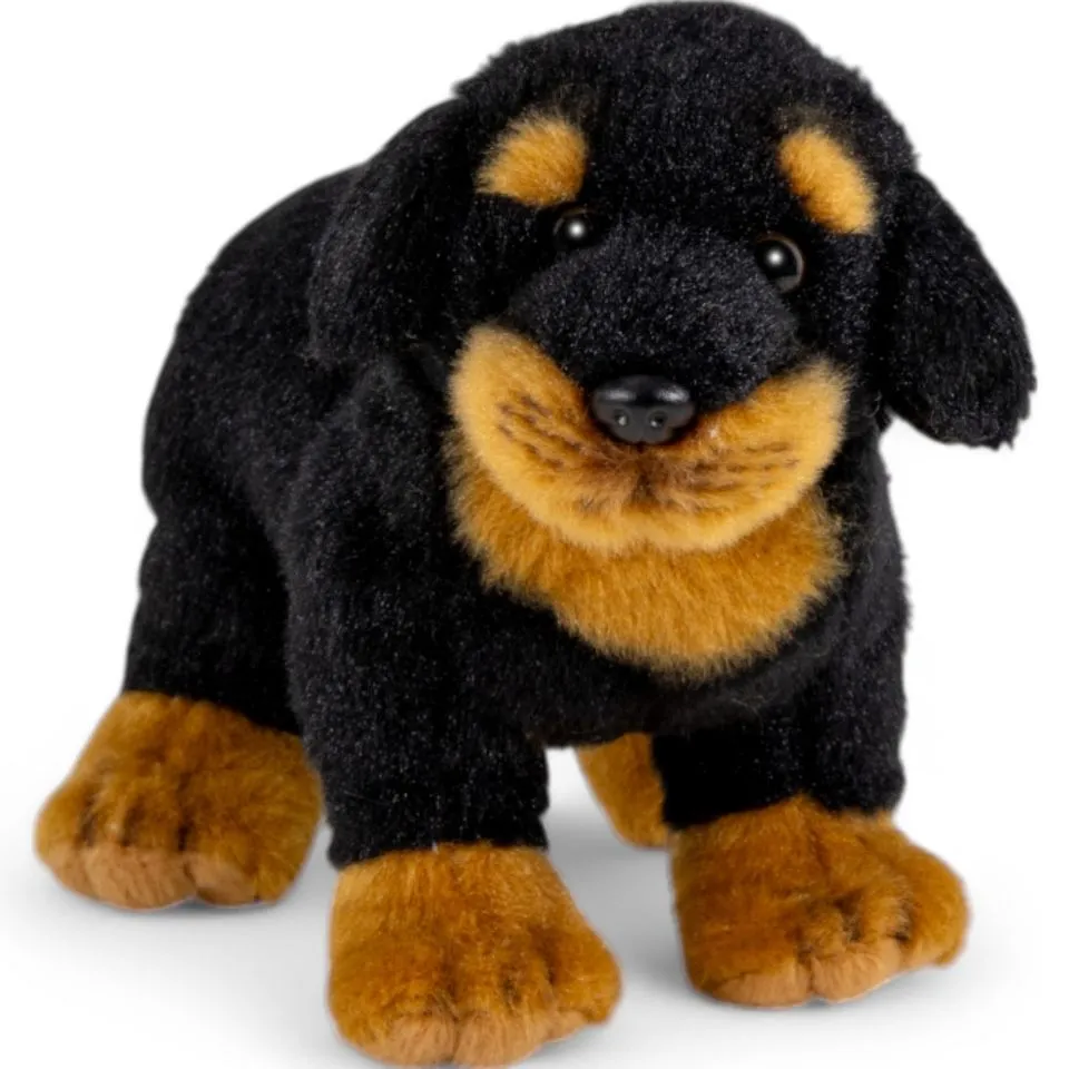 Kuscheltier Rottweiler stehend