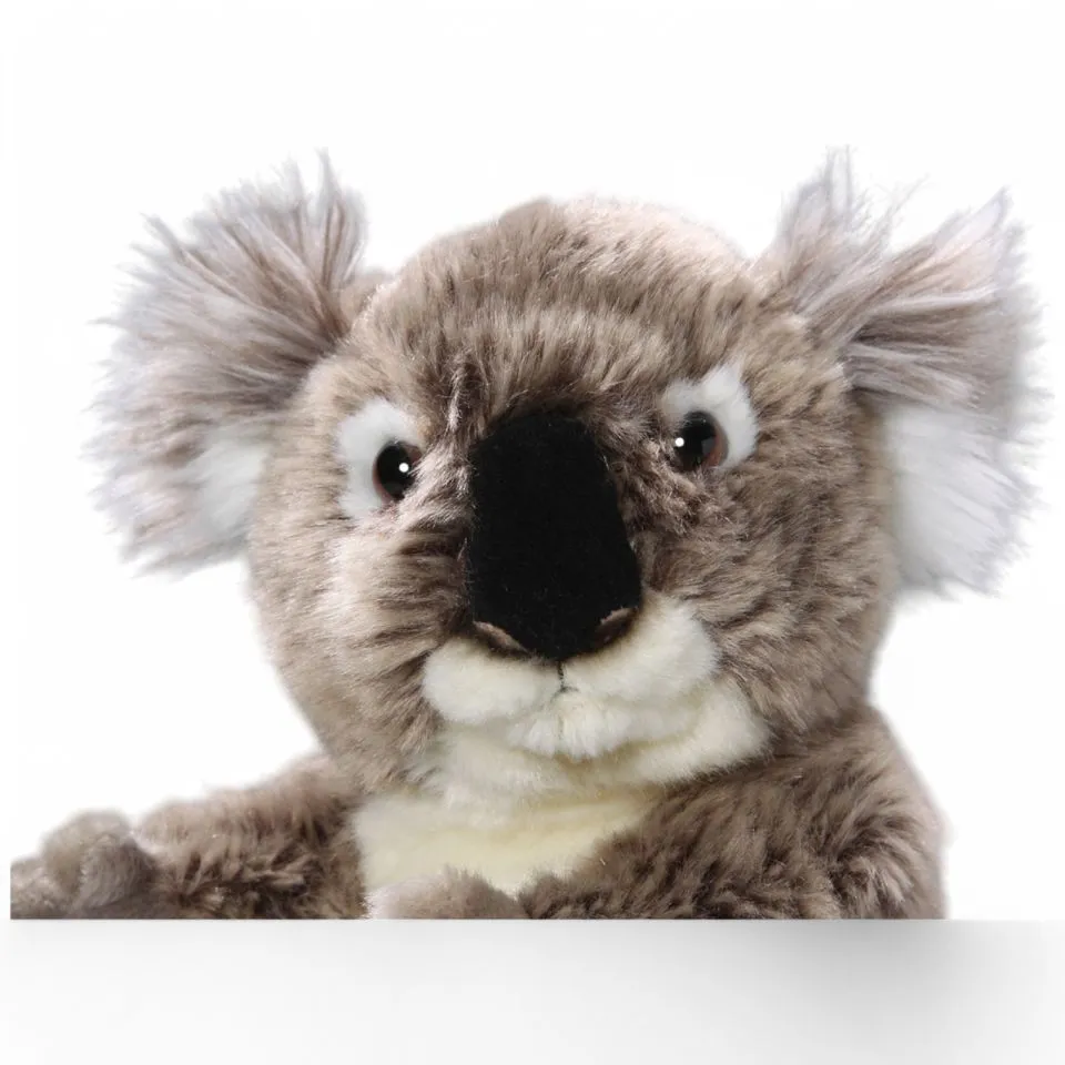 Kuscheltier Koala Bär