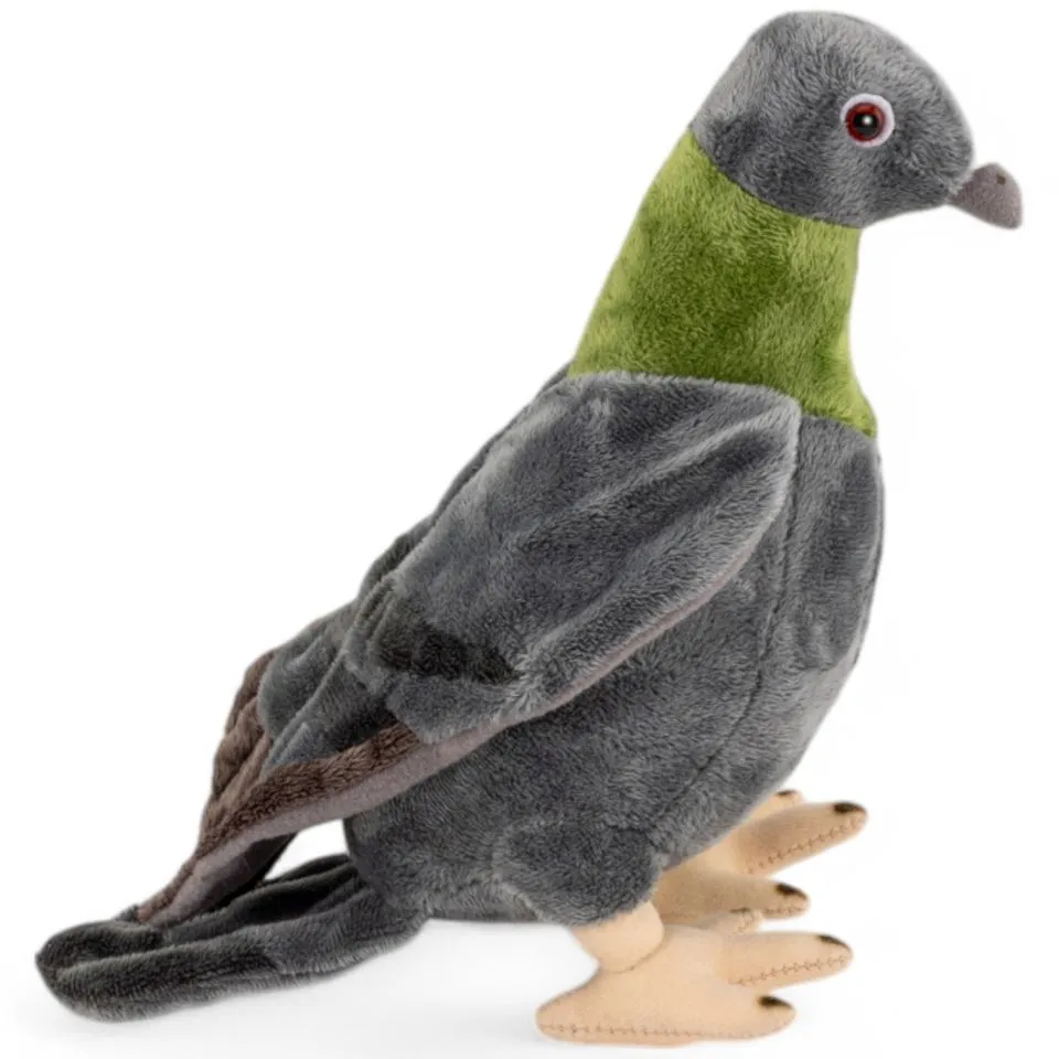 Stuffed Aanimal Dove, City Pigeon