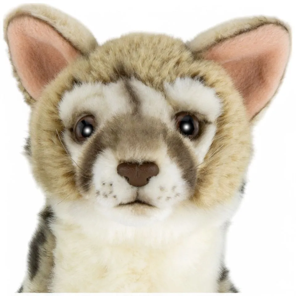 Stuffed Animal Genet Cat