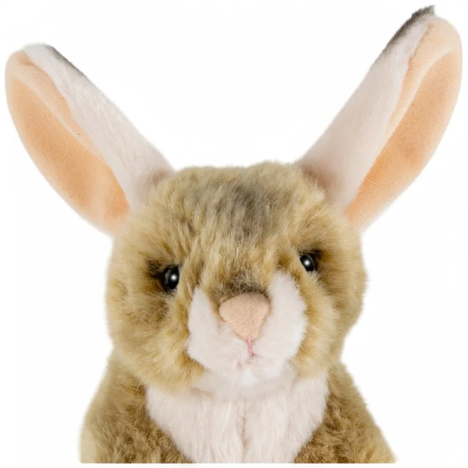 Stuffed Animal Jerboa