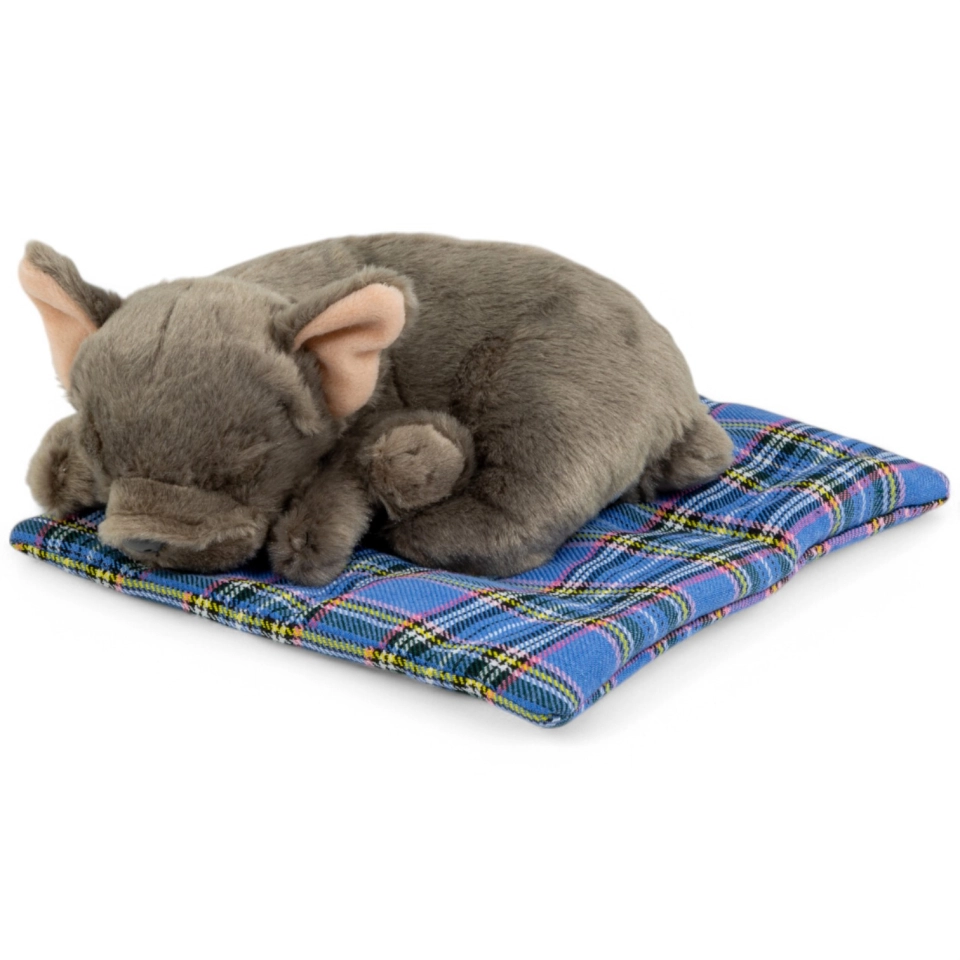 Stuffed Animal French Bulldog on pillow Stuffed Animal French Bulldog on pillow