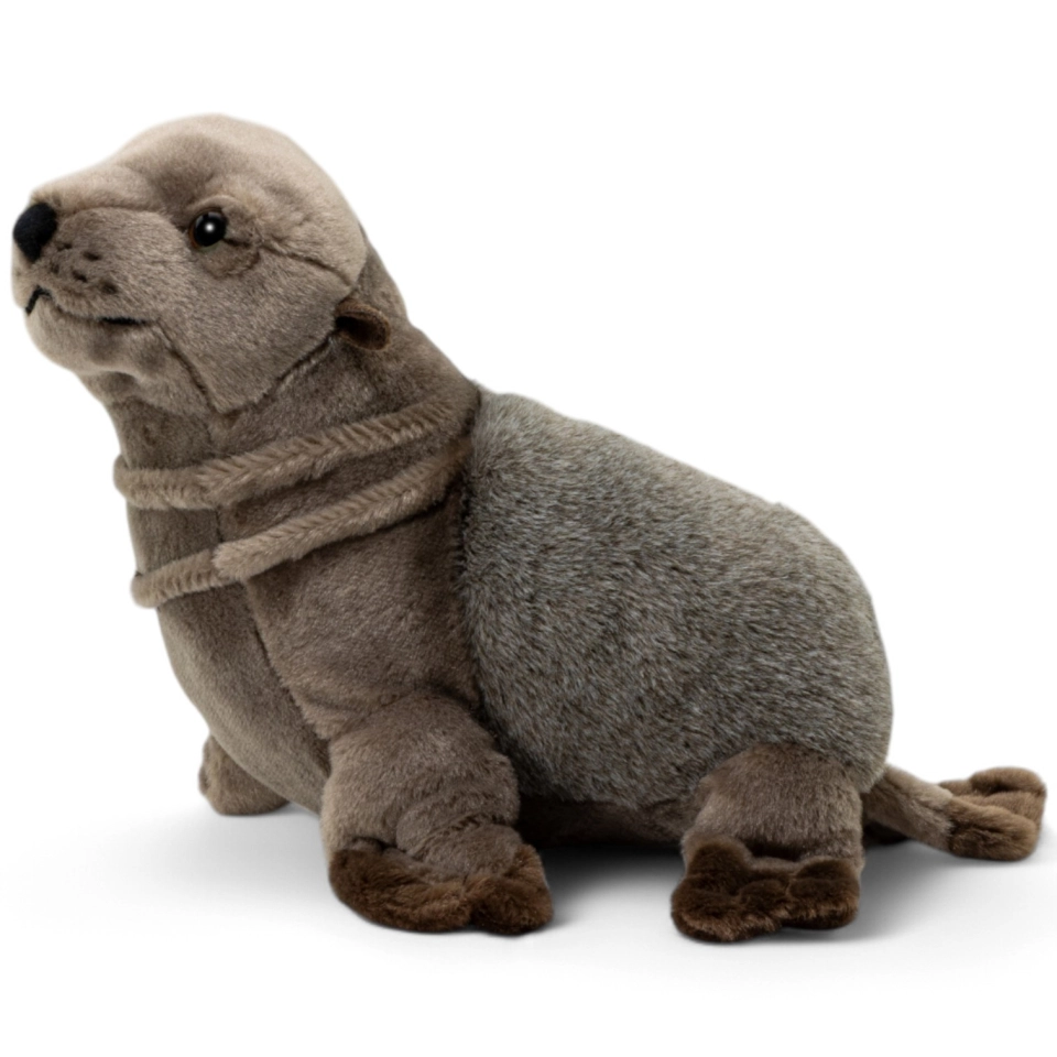Kuscheltier Seehund Kuscheltier Seehund