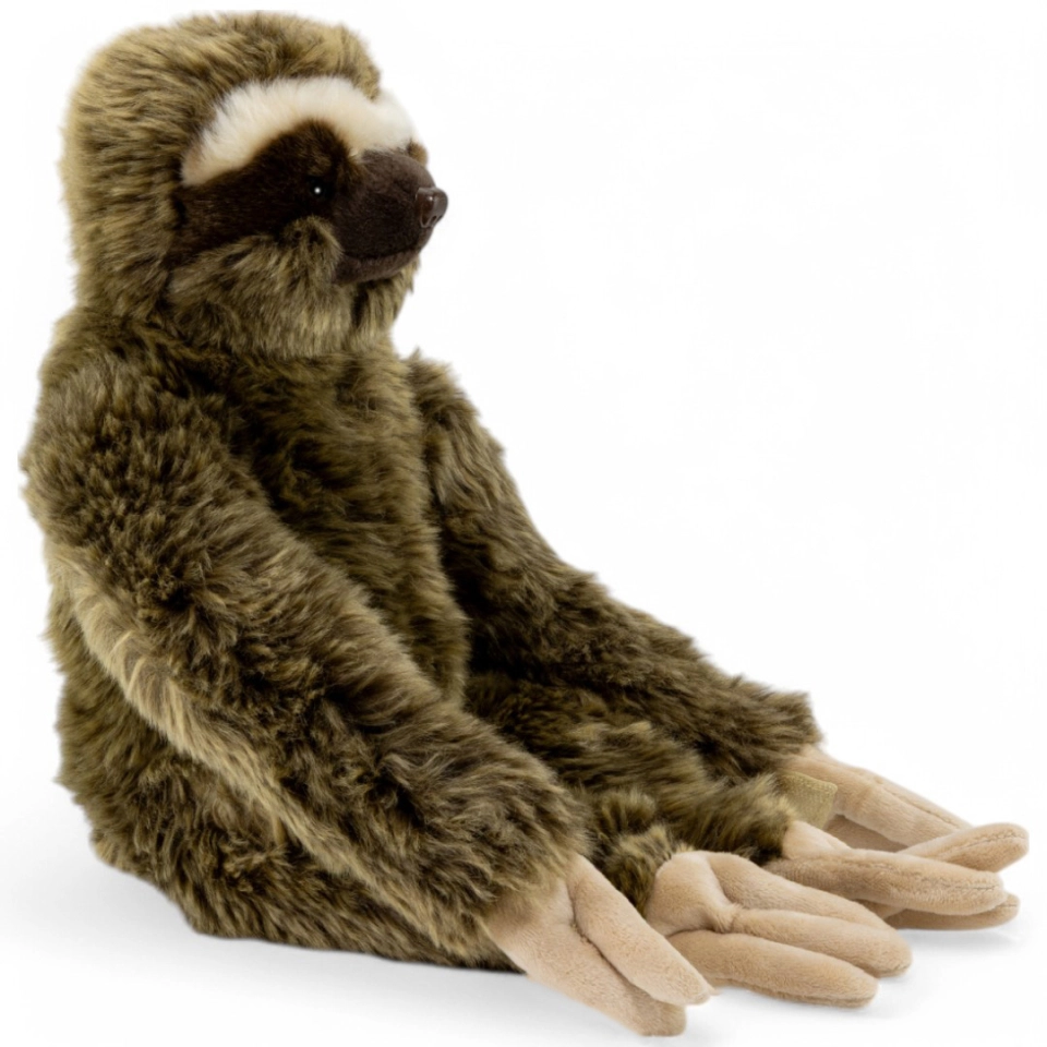 Stuffed Animal Sloth Stuffed Animal Sloth