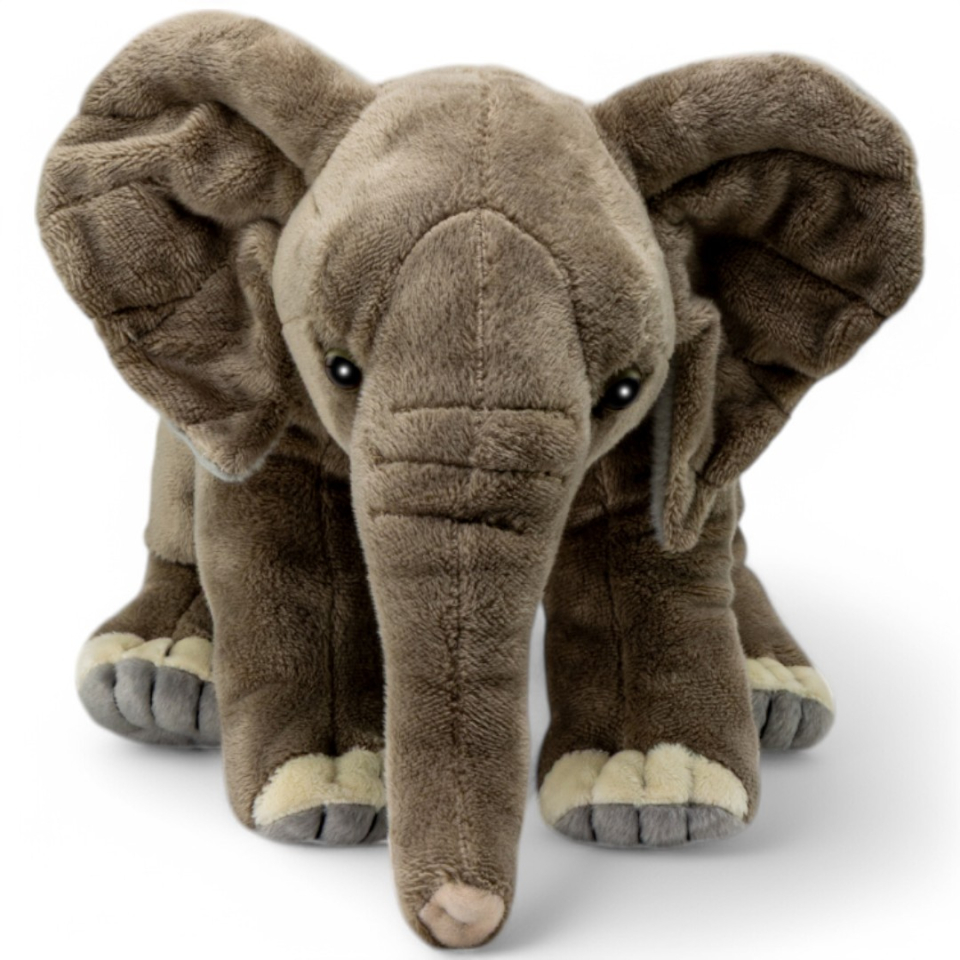 Elefant, Afrikanischer Elefant