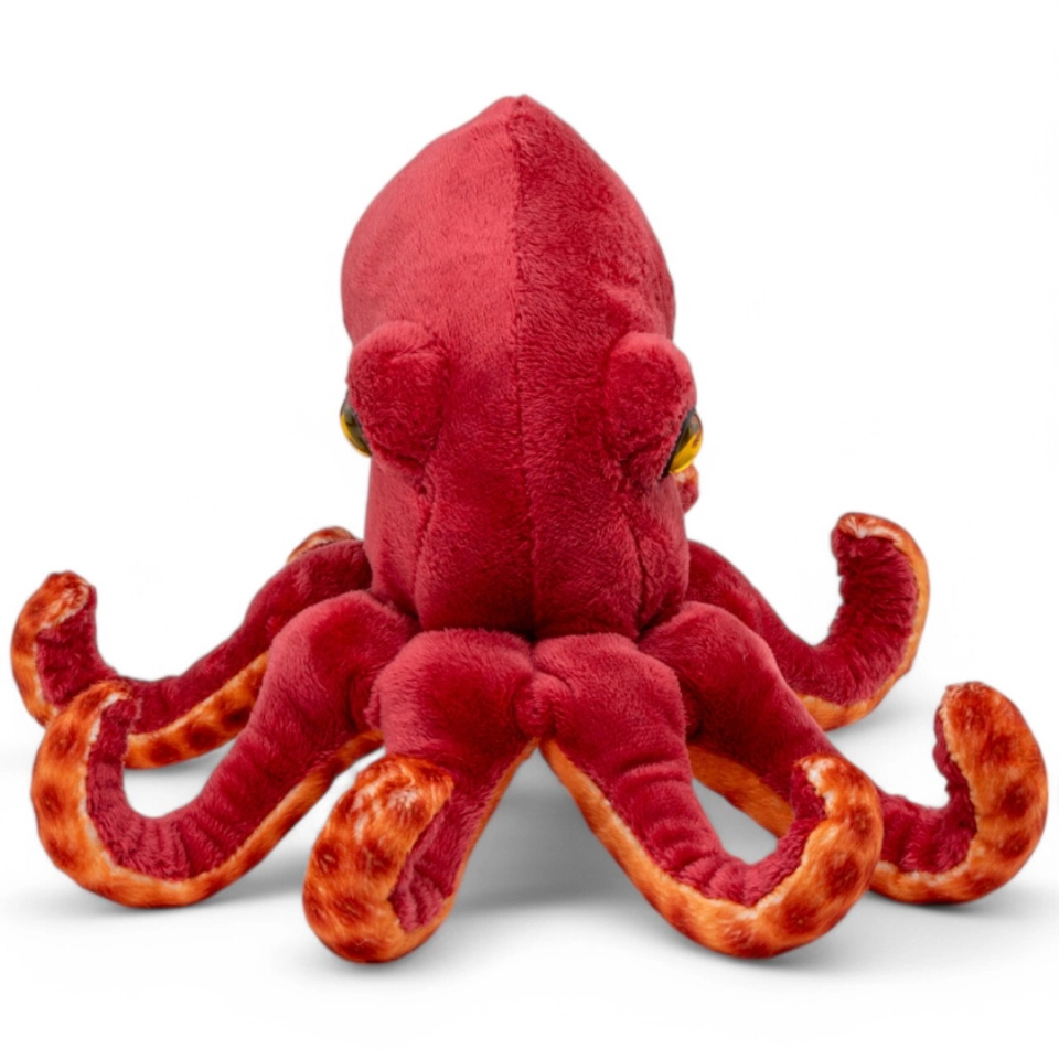 Kuscheltier Oktopus Kuscheltier Oktopus