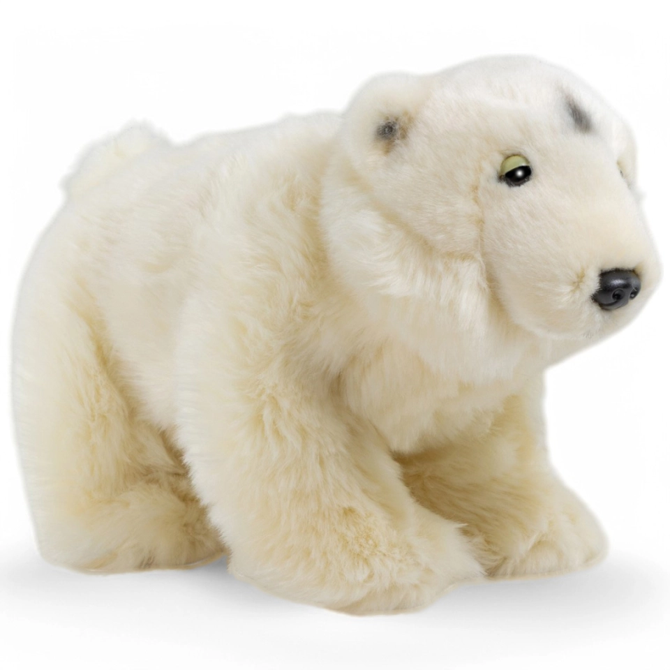 Stuffed Animal Polar Bear Stuffed Animal Polar Bear