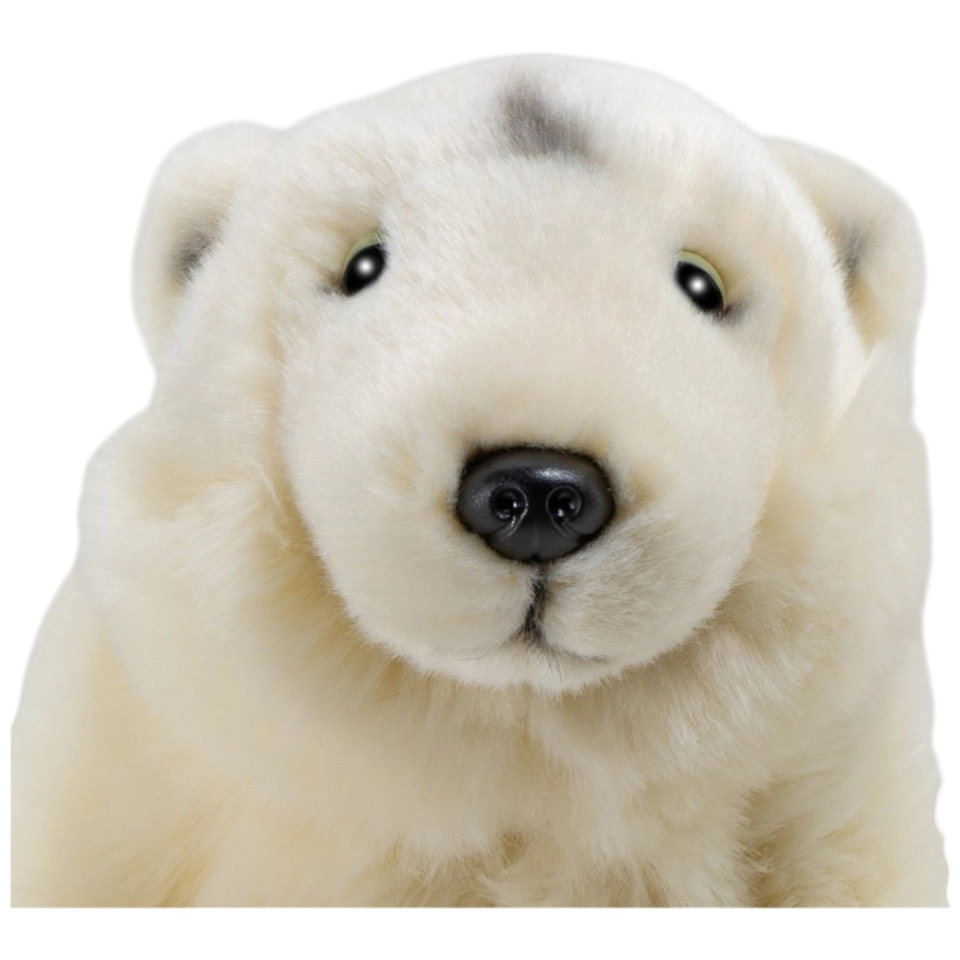 Stuffed Animal Polar Bear Stuffed Animal Polar Bear