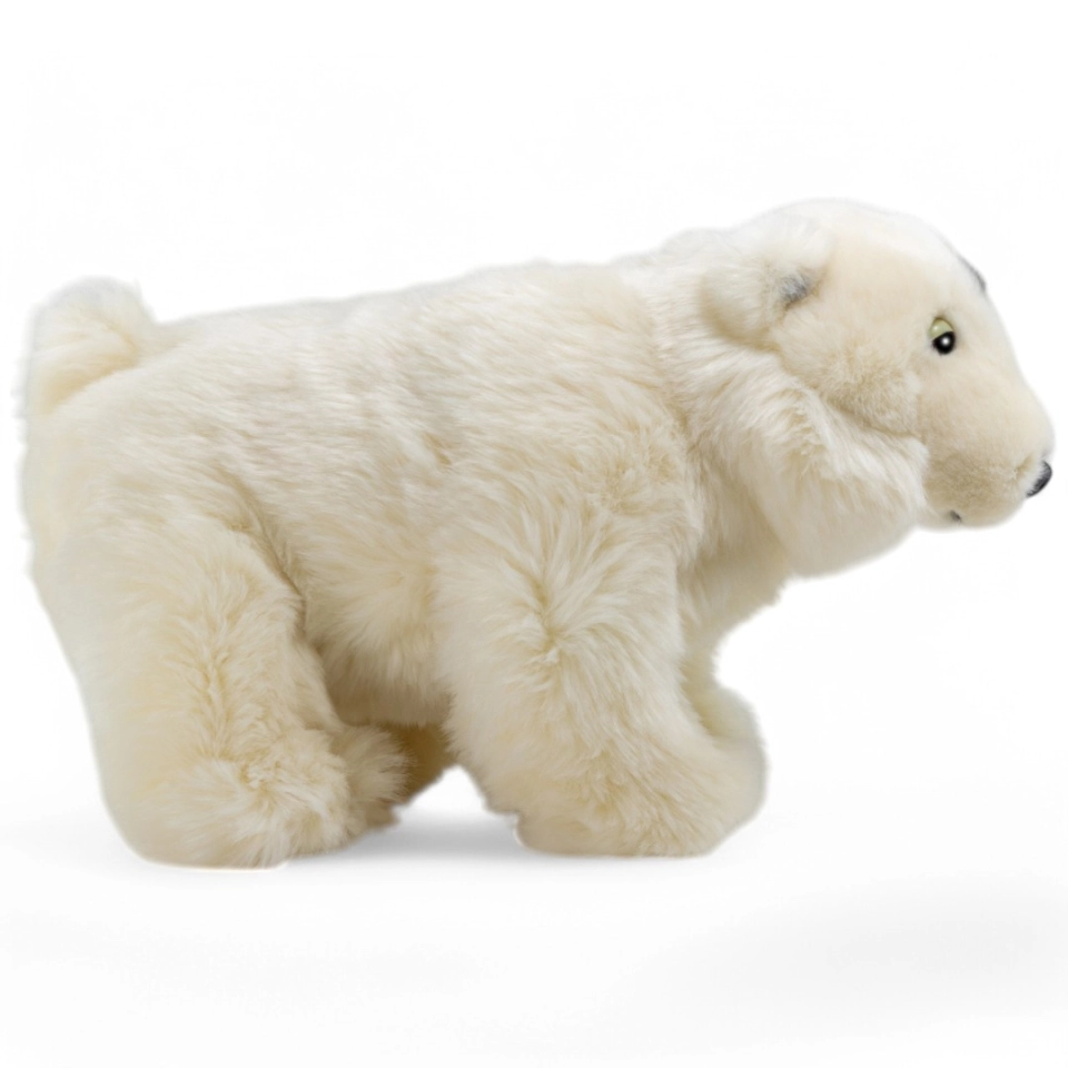 Stuffed Animal Polar Bear Stuffed Animal Polar Bear